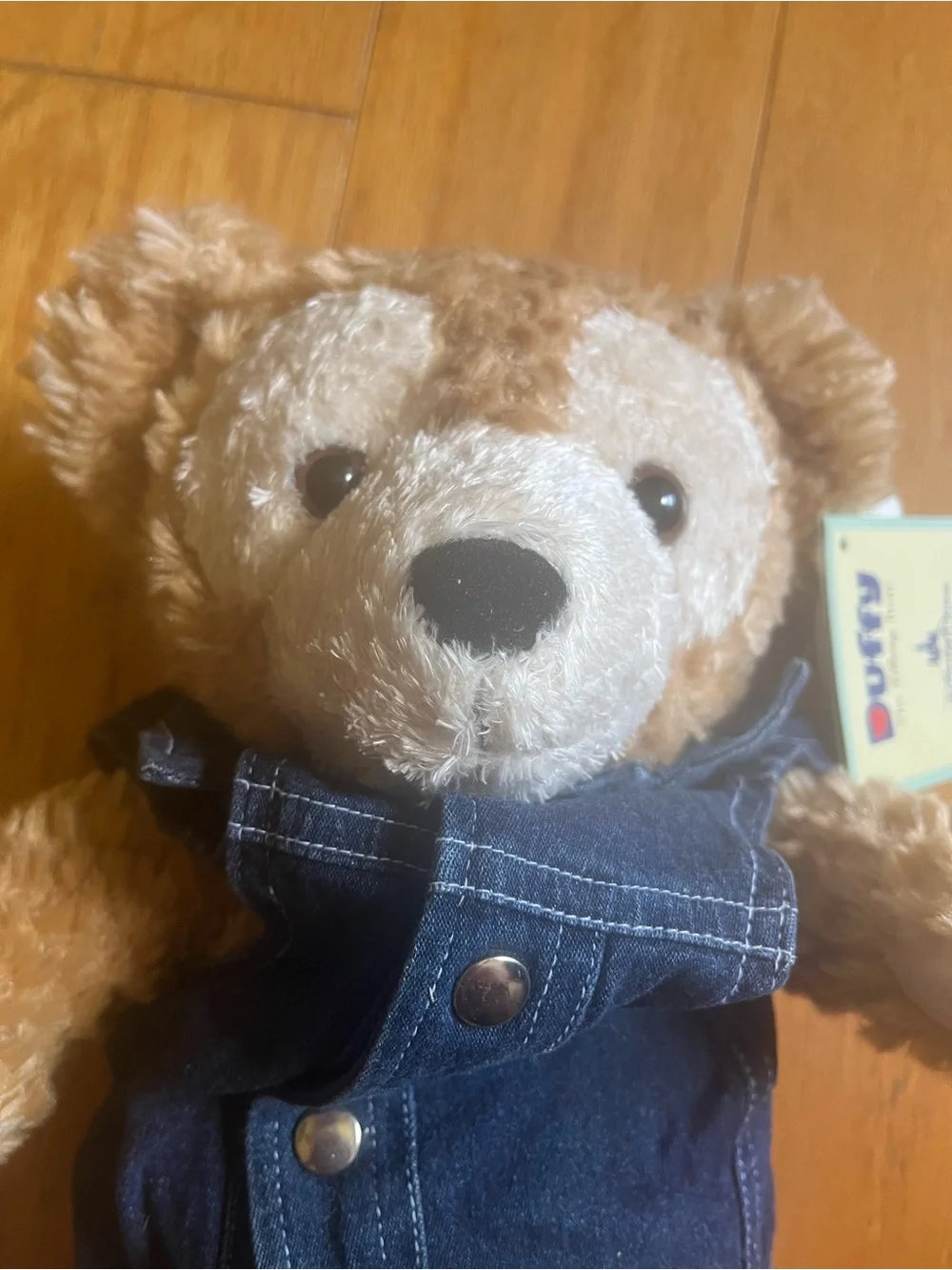 Disney duffy plush